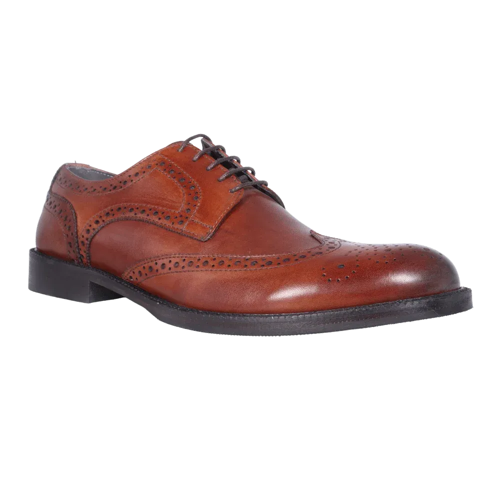 Aliverti Oxford Brogue in Brown